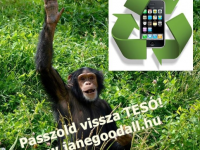 Kiszámoltad már? Hány mobil ér egy gorillát?